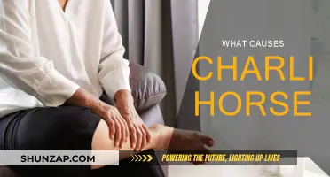 Understanding Charlie Horses: Causes and Prevention