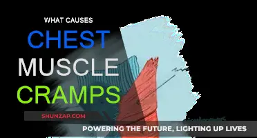 Understanding Chest Muscle Cramps: Causes and Triggers