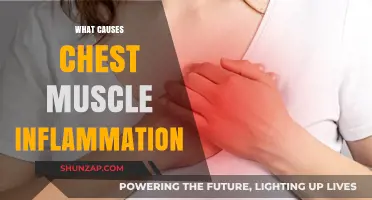 Understanding Chest Muscle Inflammation: Causes, Symptoms, and Treatment Options