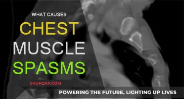 Understanding Chest Muscle Spasms: Causes and Triggers