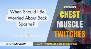 Understanding Chest Muscle Twitches: Causes, Triggers, and When to Worry
