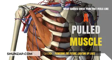 Pulled Muscle or Something More? Uncovering Causes of Chest Pain