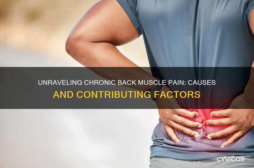 what causes chronic back muscle pain