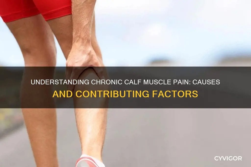 what causes chronic calf muscle pain