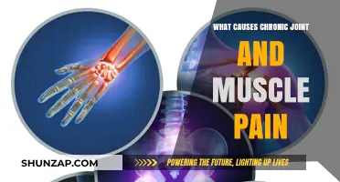 Understanding Chronic Joint and Muscle Pain: Causes and Contributing Factors