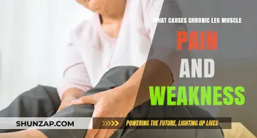 Understanding Chronic Leg Muscle Pain and Weakness: Causes and Solutions