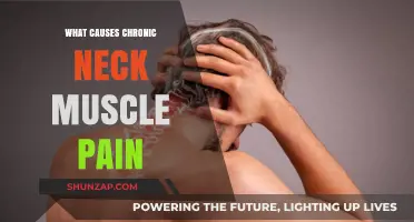 Understanding Chronic Neck Muscle Pain: Causes and Contributing Factors
