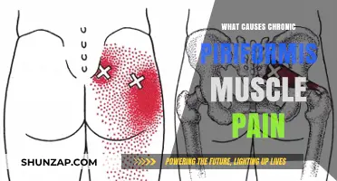 Understanding Chronic Piriformis Pain: Causes and Contributing Factors Explained