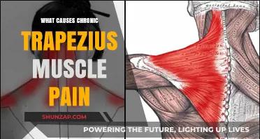 Understanding Chronic Trapezius Pain: Causes and Contributing Factors Explained