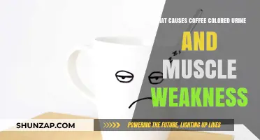 Coffee-Colored Urine and Muscle Weakness: Causes and Concerns