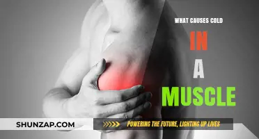 Understanding Muscle Coldness: Causes and Contributing Factors Explained