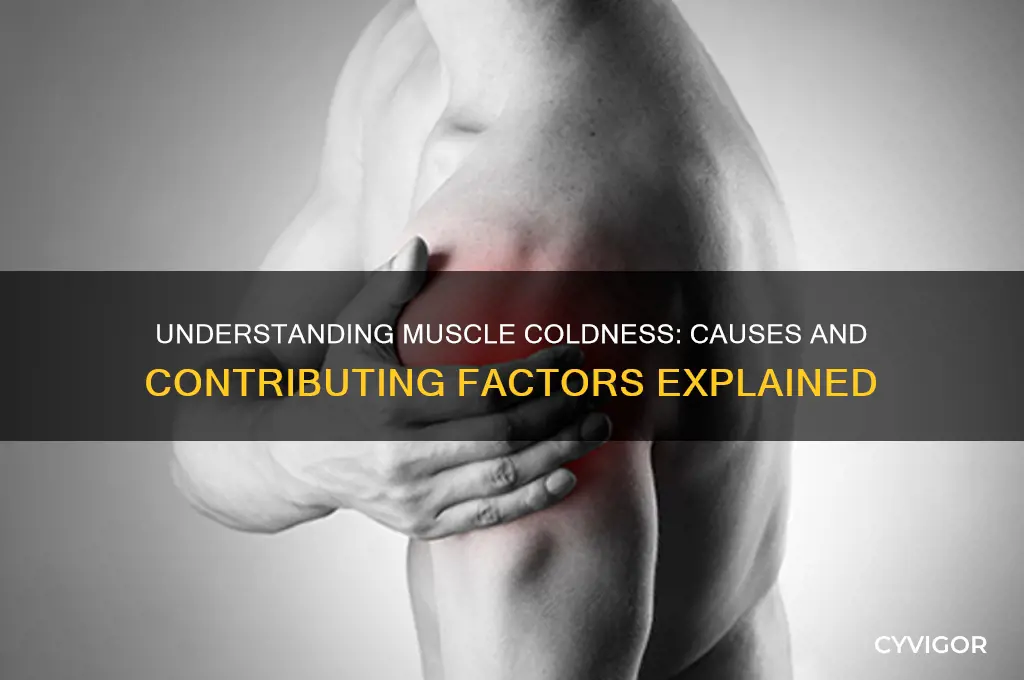 what causes cold in a muscle