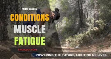 Understanding Muscle Fatigue: Causes, Symptoms, and Prevention Strategies