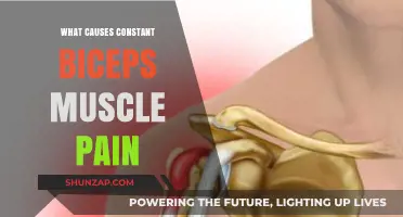 Understanding Constant Biceps Pain: Causes and Effective Relief Strategies