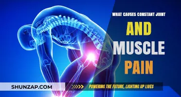 Understanding Persistent Joint and Muscle Pain: Causes and Contributing Factors