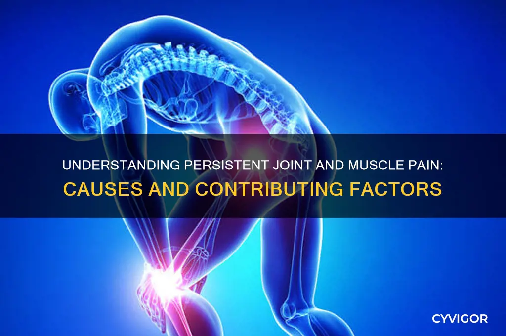what causes constant joint and muscle pain