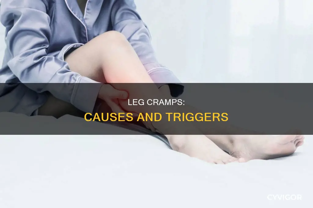 what causes constant leg cramps