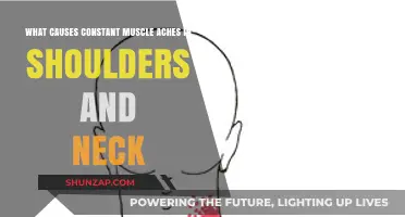 Understanding Persistent Shoulder and Neck Pain: Causes and Solutions