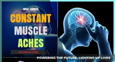 Unraveling the Mystery: What Causes Constant Muscle Aches and Pains