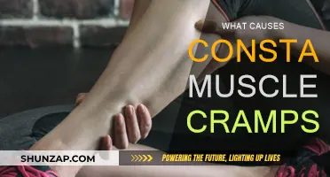 Understanding Muscle Cramps: Causes and Prevention