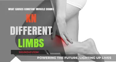 Unraveling the Mystery: Causes of Persistent Muscle Cramps in Various Limbs