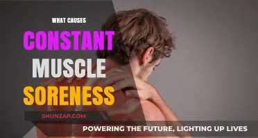 Understanding Persistent Muscle Soreness: Causes and Effective Remedies