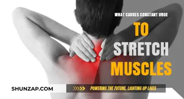 Why Do I Always Want to Stretch? Unraveling Muscle Tension Causes