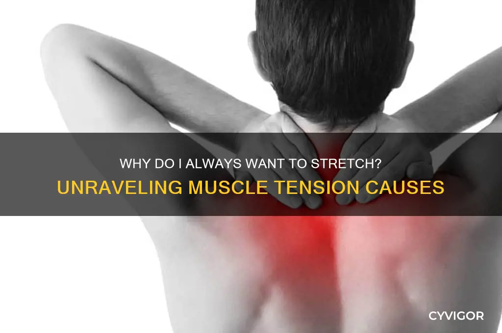 what causes constant urge to stretch muscles