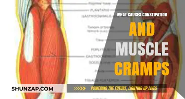 Understanding Constipation and Muscle Cramps: Causes and Connections Explained