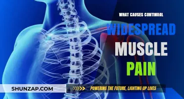 Understanding Continual Widespread Muscle Pain: Causes and Contributing Factors