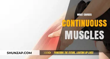 Unraveling the Mystery: Why Your Muscles Stay Sore Continuously