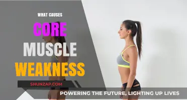 Unraveling the Root Causes of Core Muscle Weakness: A Comprehensive Guide