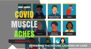 Understanding COVID-19 Muscle Aches: Causes, Mechanisms, and Relief Strategies
