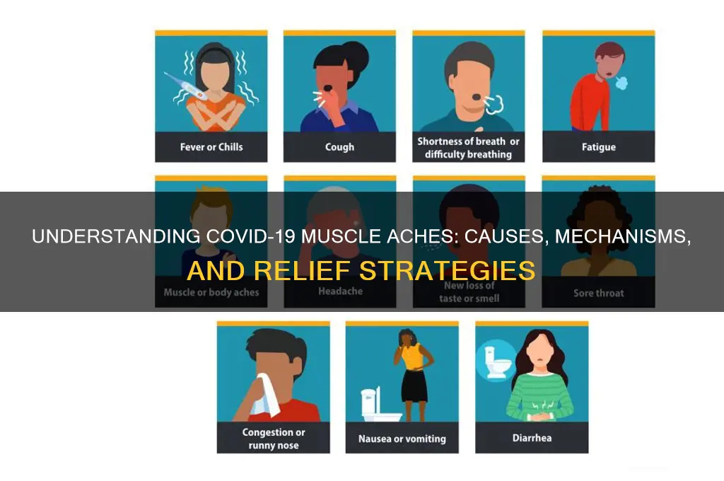 what causes covid muscle aches