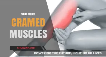 Understanding Cramped Muscles: Causes, Prevention, and Effective Relief Strategies