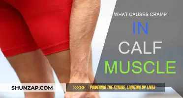 Understanding Calf Muscle Cramps: Causes and Triggers