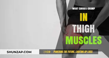 Understanding Thigh Muscle Cramps: Causes, Prevention, and Relief Strategies