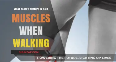 Why Calf Muscles Cramp While Walking: Causes and Prevention Tips