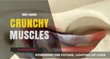 Crunchy Muscles Explained: Causes, Prevention, and Effective Relief Strategies