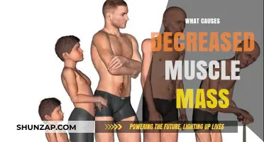 Understanding the Factors Behind Decreased Muscle Mass and Strength Loss