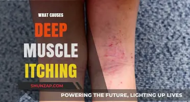 Unraveling the Mystery: What Causes Deep Muscle Itching Explained
