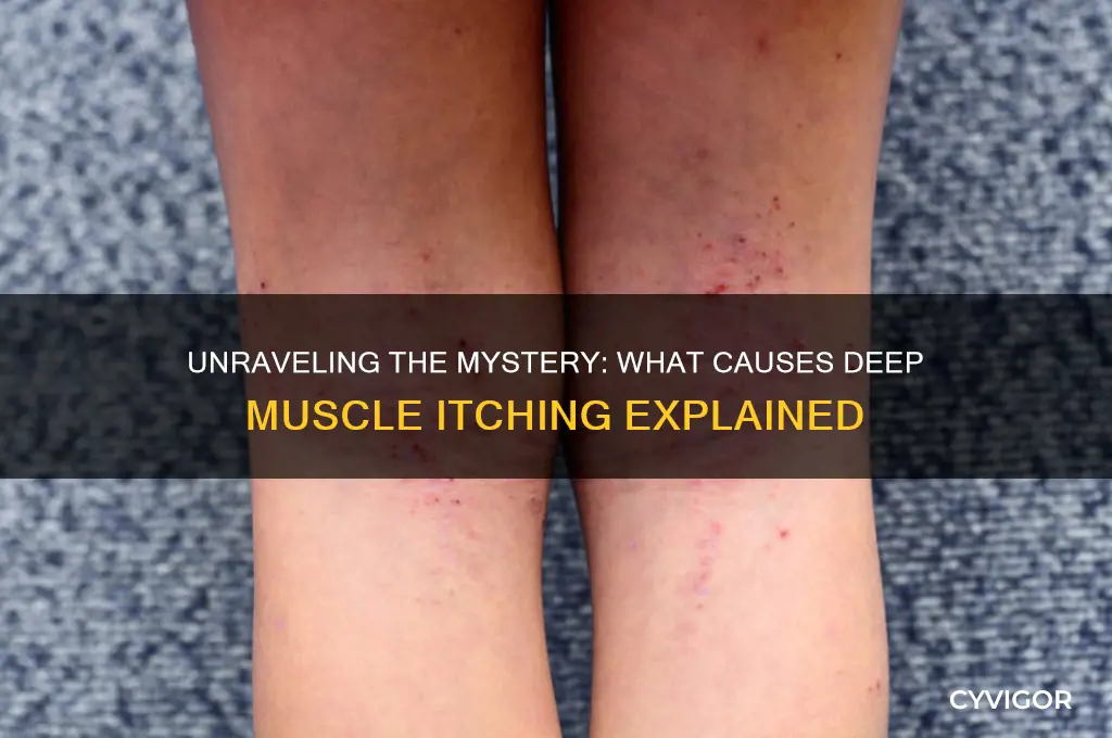 what causes deep muscle itching