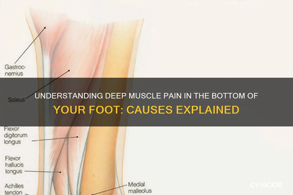 what causes deep muscle pain in bottom of foot