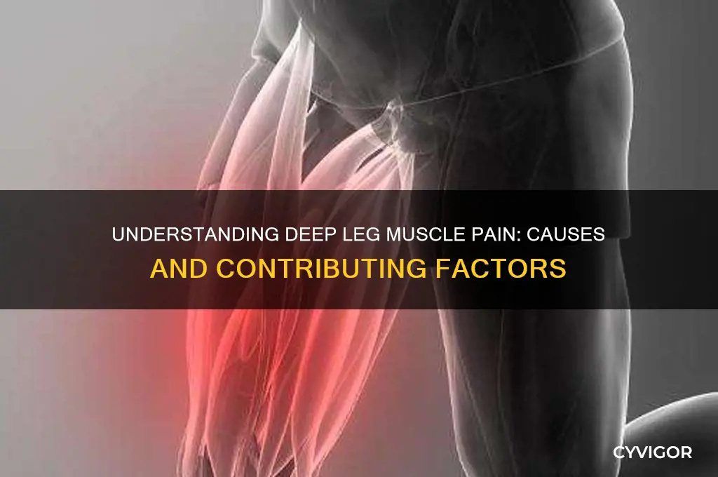 what causes deep muscle pain in legs