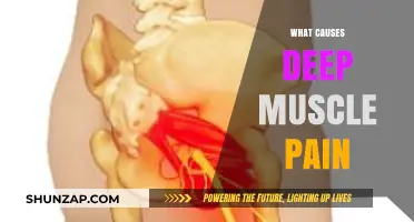 Understanding Deep Muscle Pain: Causes, Triggers, and Contributing Factors