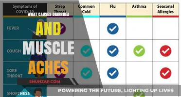 Diarrhea and Muscle Aches: Uncovering Common Causes and Triggers