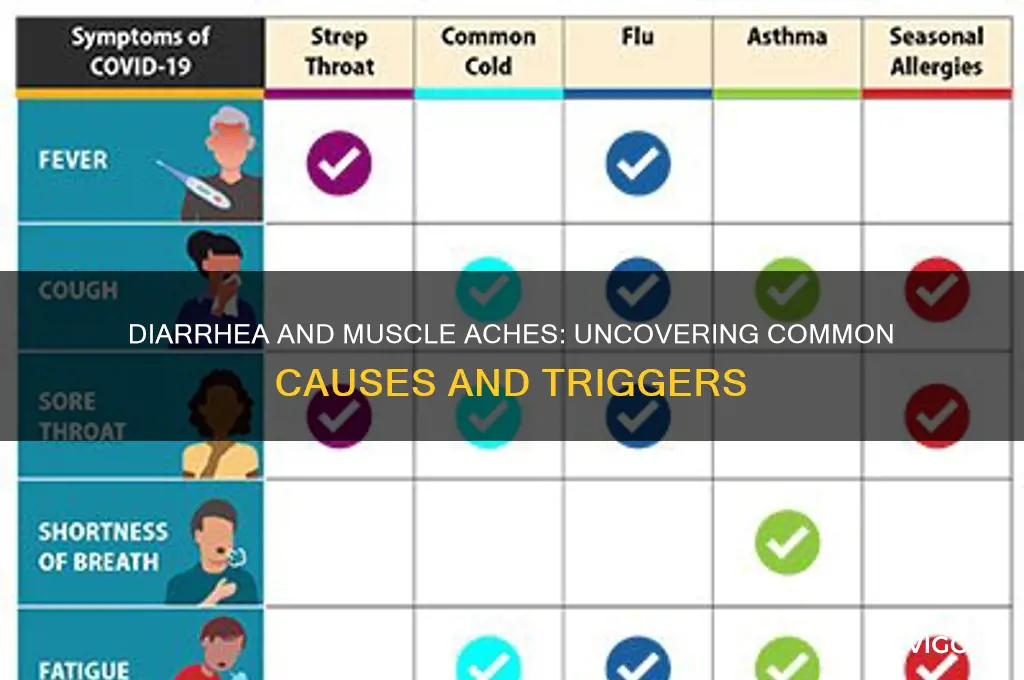 what causes diarrhea and muscle aches