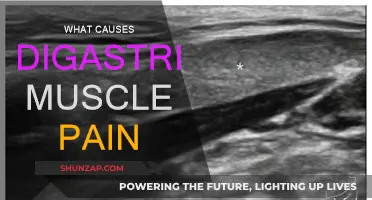 Understanding Digastric Muscle Pain: Causes and Triggers