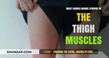 Understanding Disuse Atrophy: Causes of Thigh Muscle Weakening and Shrinkage