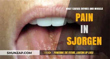 Understanding Sjögren's Syndrome: Causes of Dryness and Muscle Pain Explained
